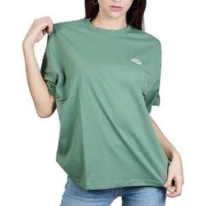 Skjorter / Skjortebluser Dickies SUMMERDALE TEE SS W
