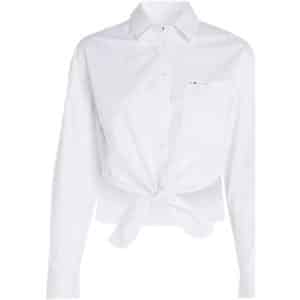 Skjorter / Skjortebluser Tommy Jeans CAMISA MUJER DW0DW17520